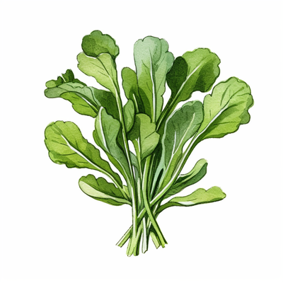 Ingredient