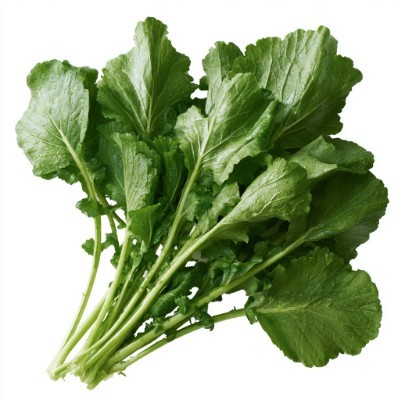 Ingredient