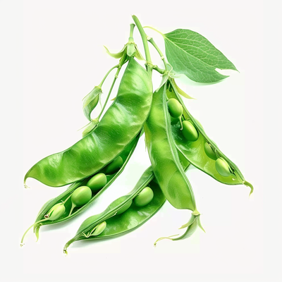 Ingredient