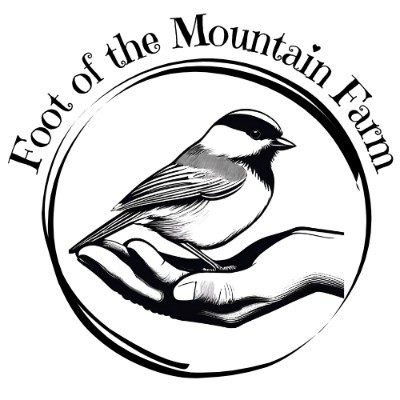 Foot of the Mountain