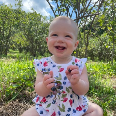 Rentzel's Blueberry Farm