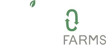 Reinford Farms