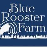 Blue Rooster Farm