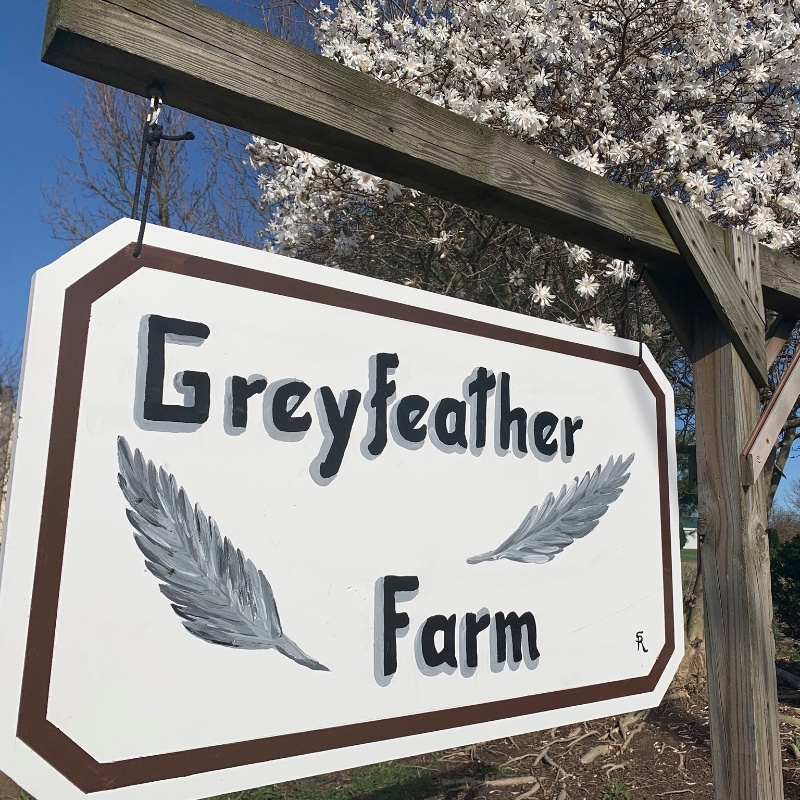 Greyfeather Farm LLC