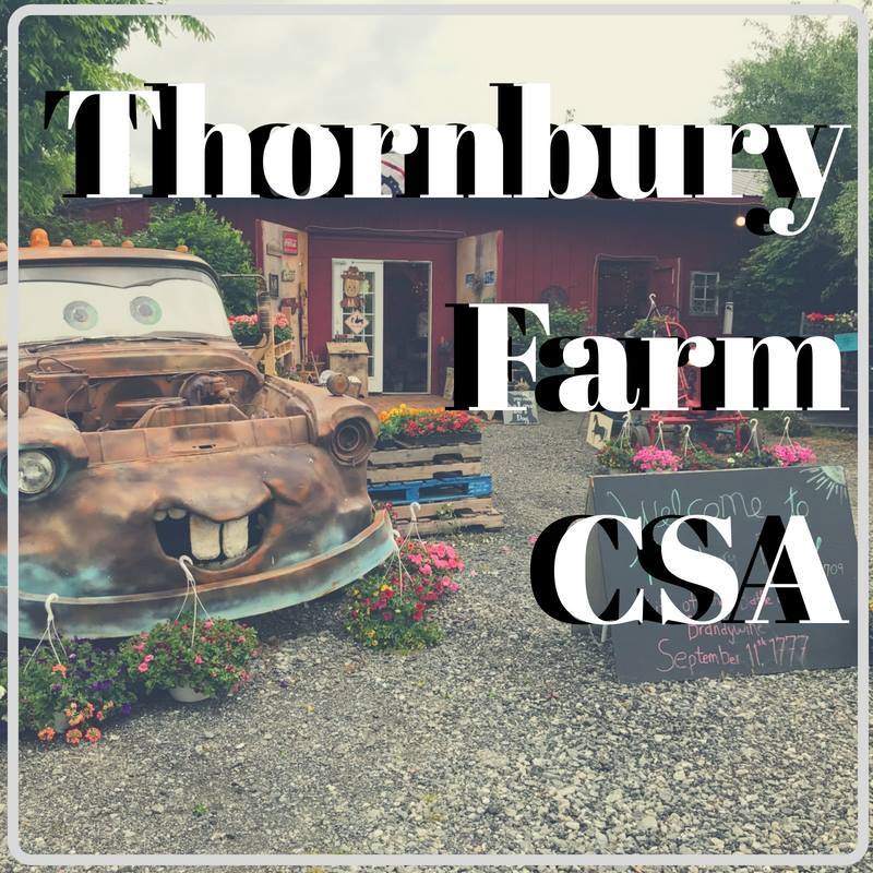 Thornbury Farm CSA