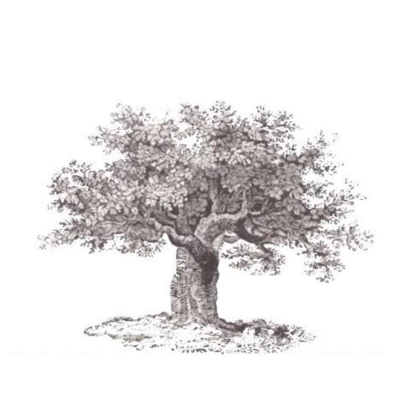 Harmony Hill Nursery, LLC