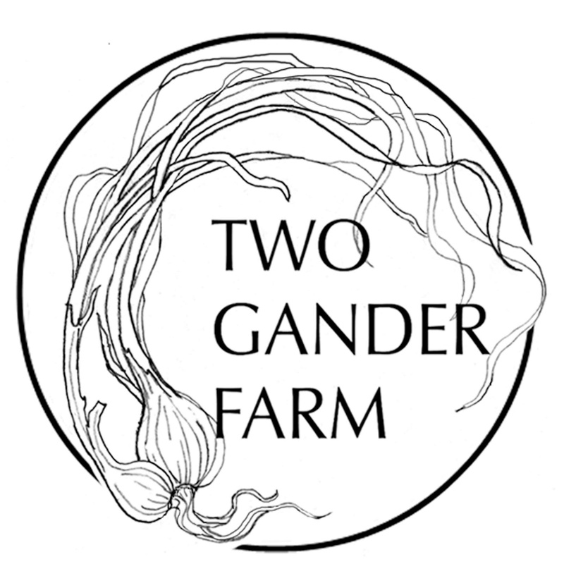 Two Gander Farm