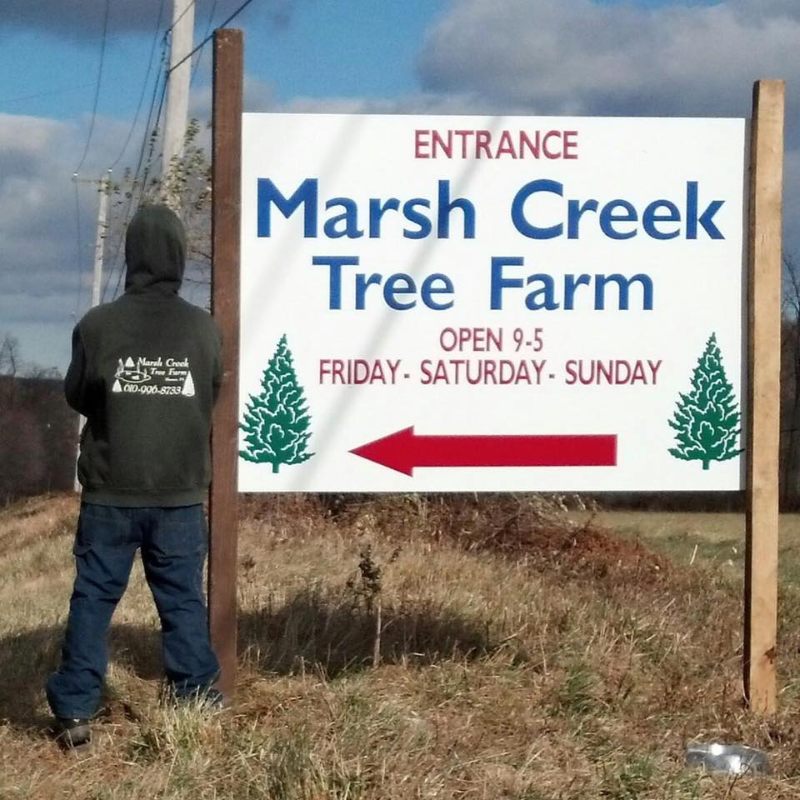 Marsh Creek Tree Farm