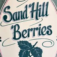 Sand Hill Berries