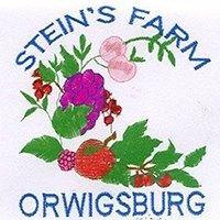 Steins Farm