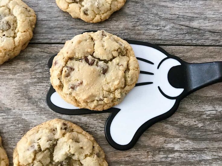 Disney's Grand Floridian Chocolate Chip Cookies