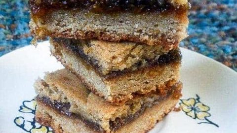 Fresh Fig Newtons
