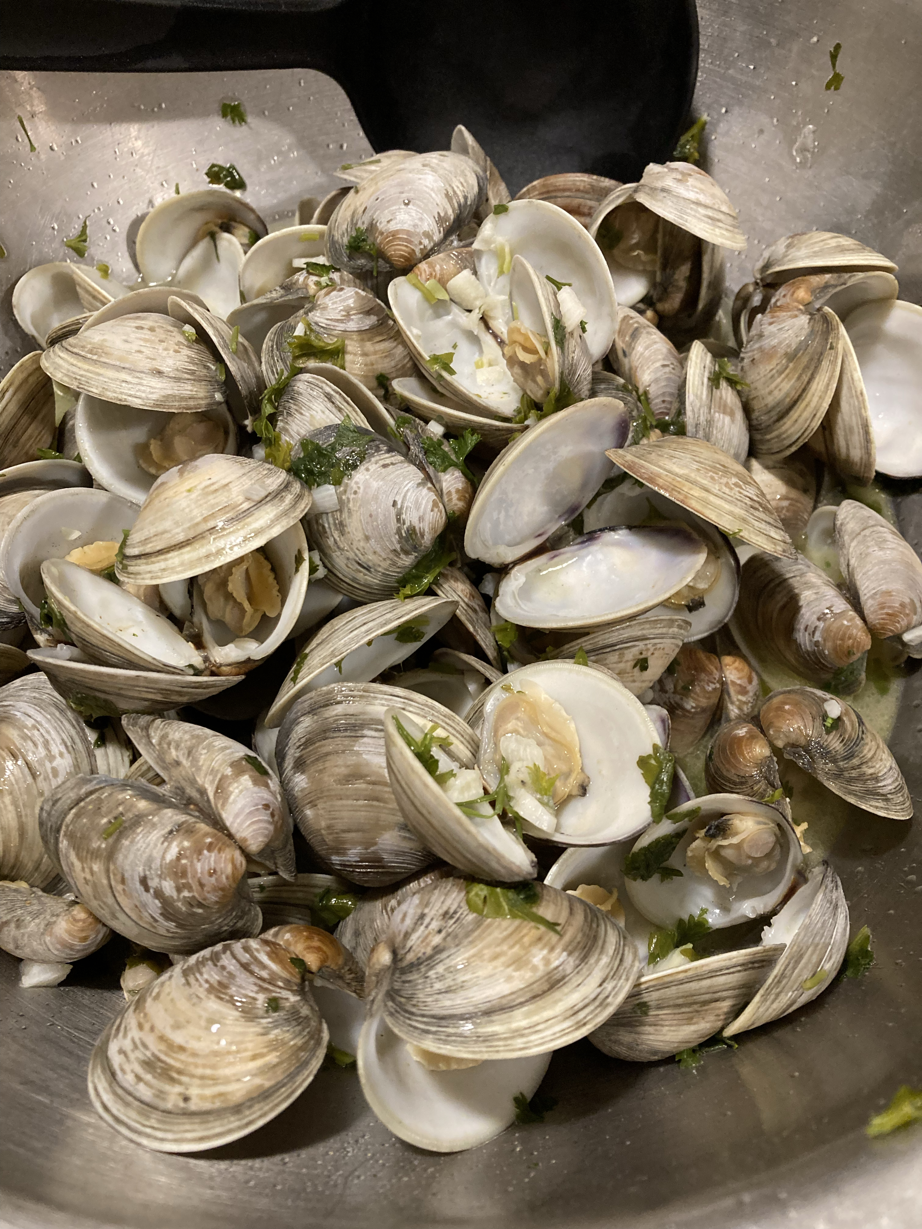 Little Neck Clams
