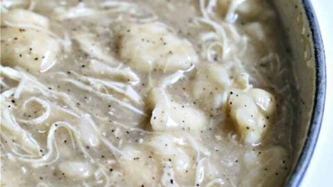 Quick and Easy Chicken and Dumplings