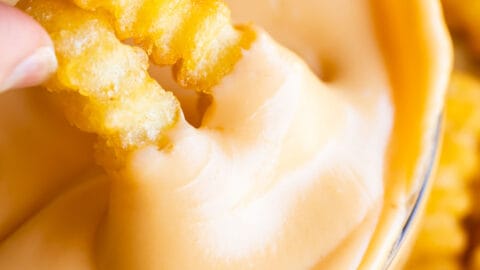 The Best Cheese Sauce Ever (Shake Shack Copycat)