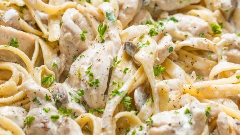 Chicken Fettuccine Alfredo