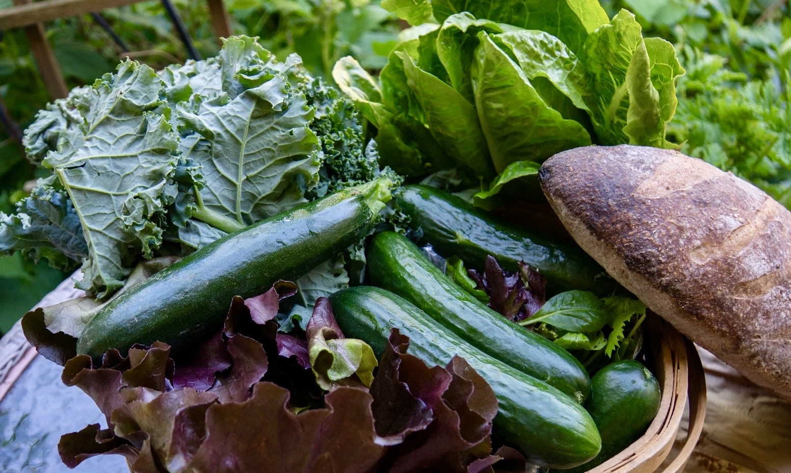 Summer Squash Soup with White Beans and Kale