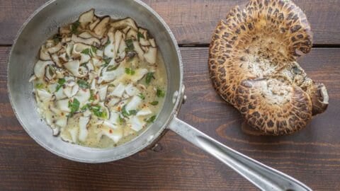 White Wine Pheasant Backs