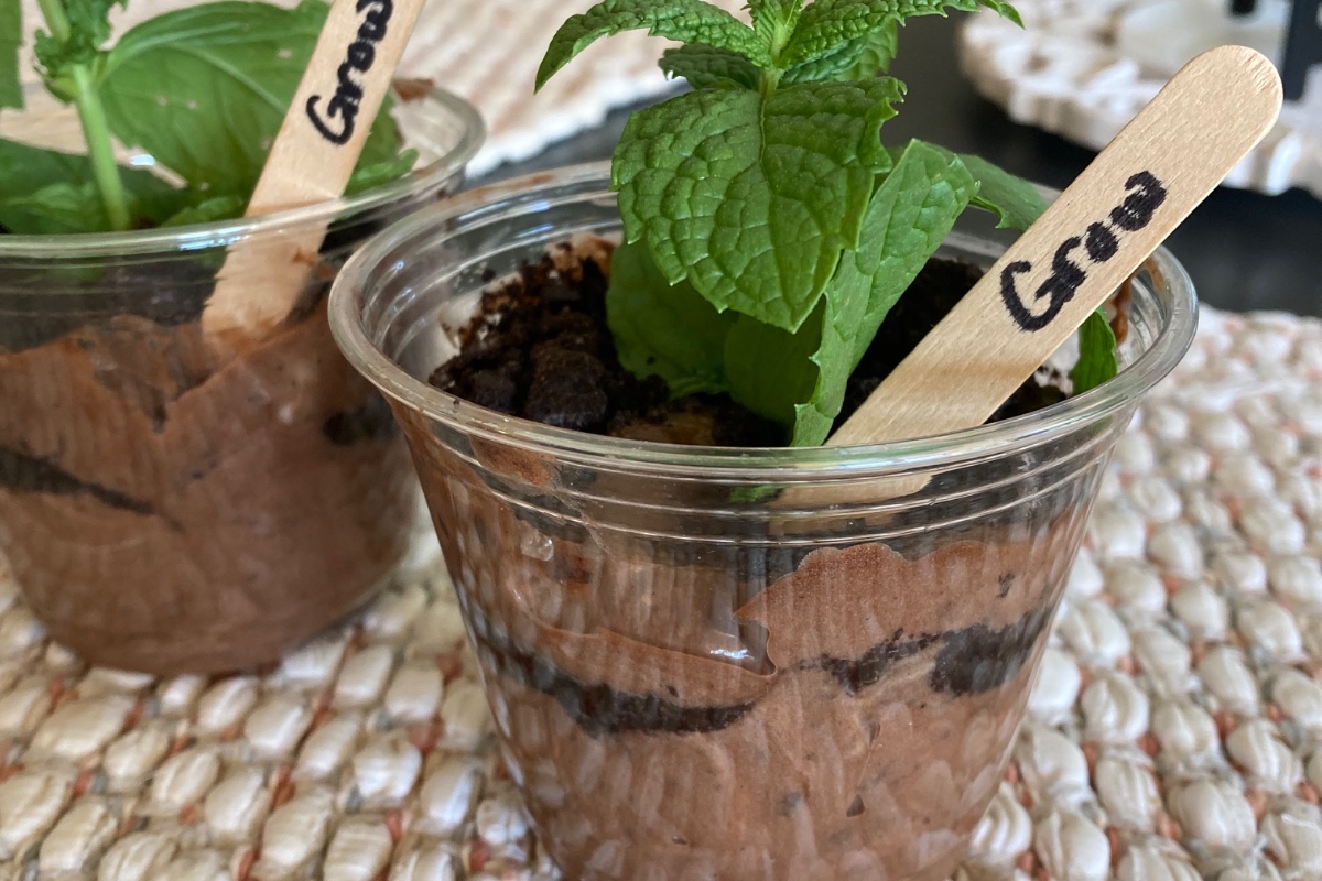 Homemade Dirt Cups