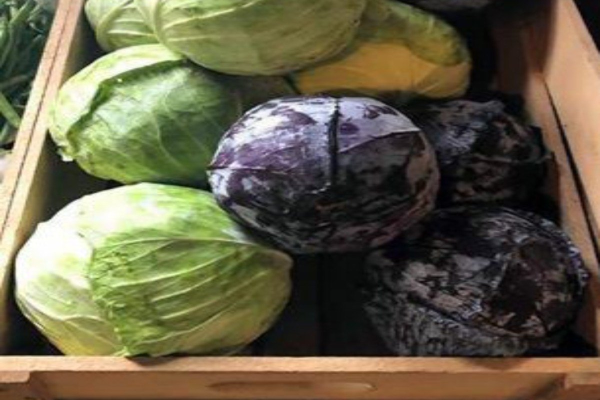 Sweet & Sour Red Cabbage