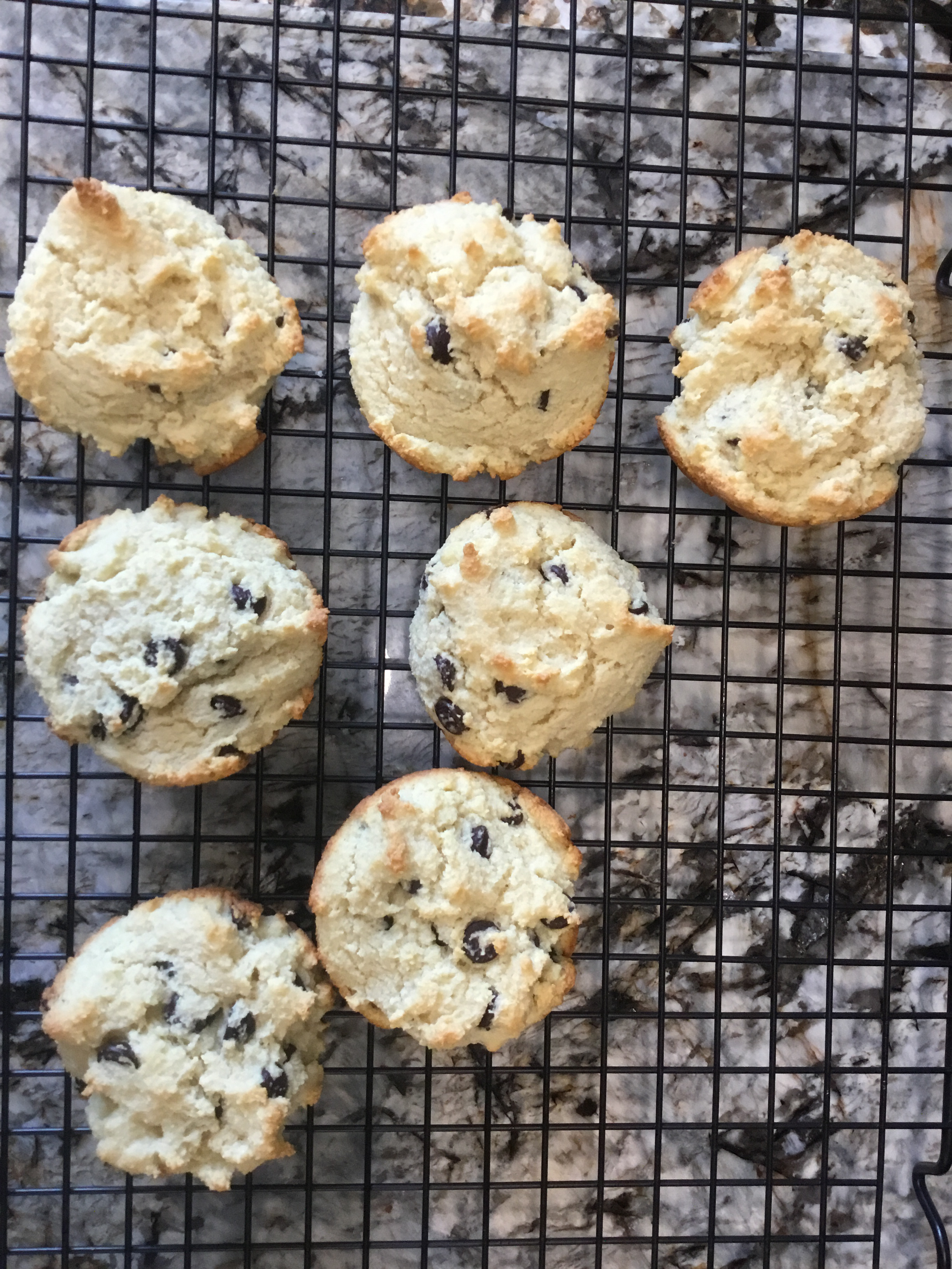 Ricotta chocolate chip muffins