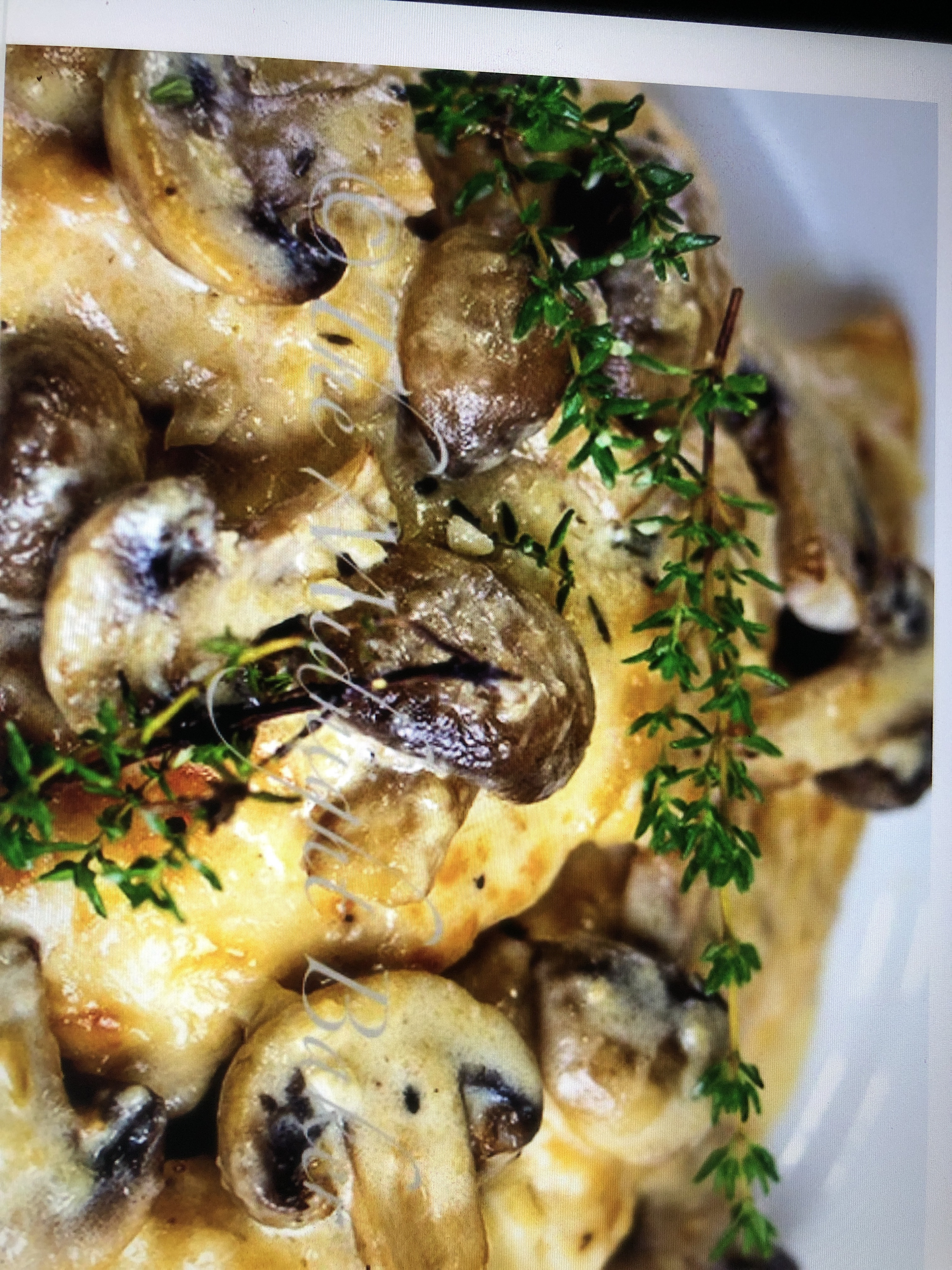 Mushroom Asiago chicken 