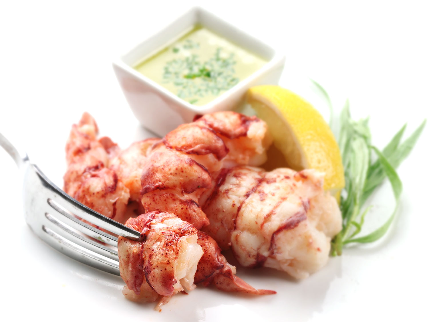 Sous Vide Lobster Recipe