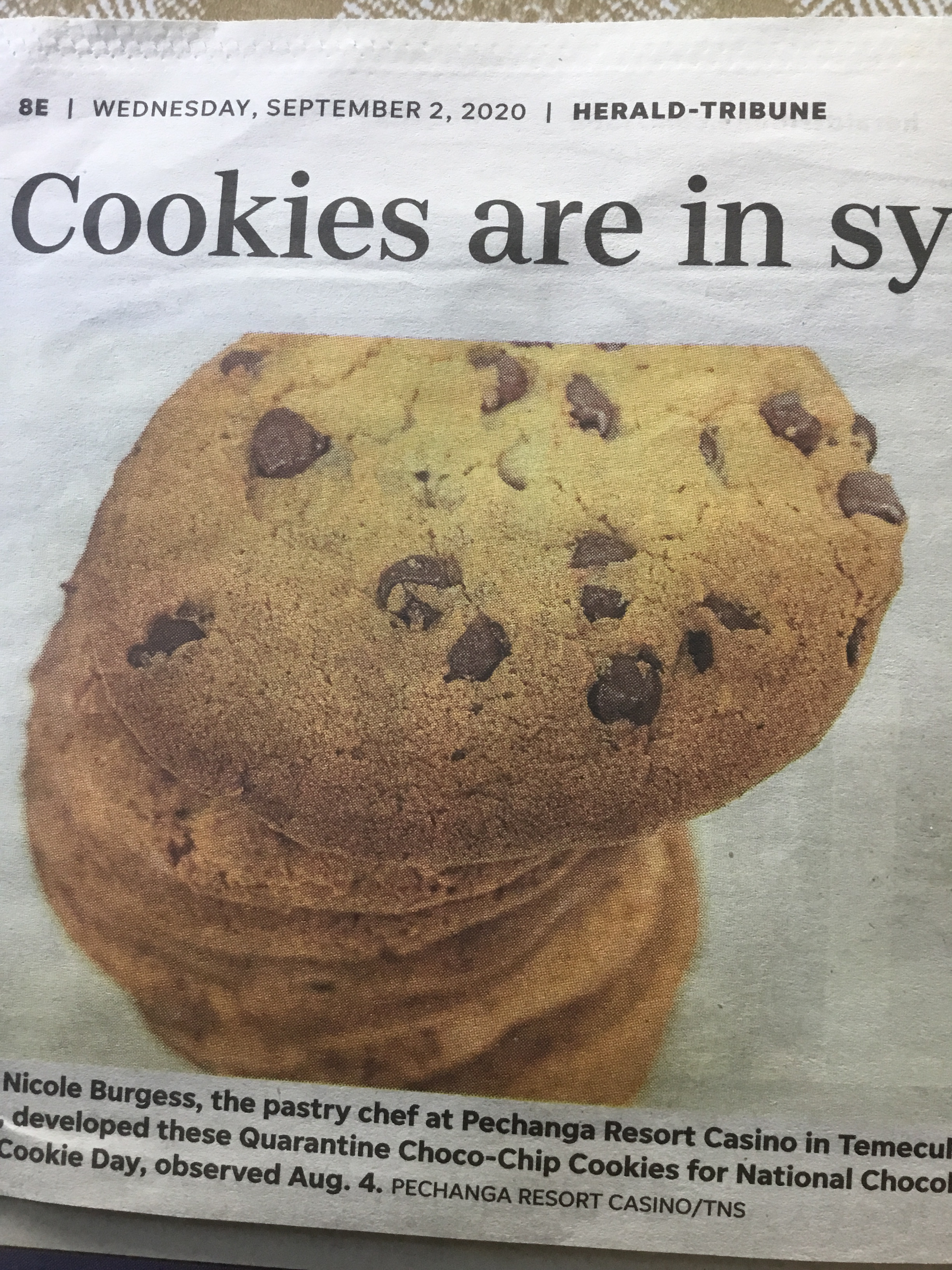 Chocolate Chip Cookies  Low Carb